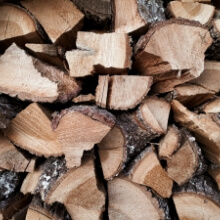 Woods (Branches / Bricks)